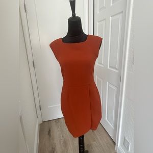 Beautiful The limited dress